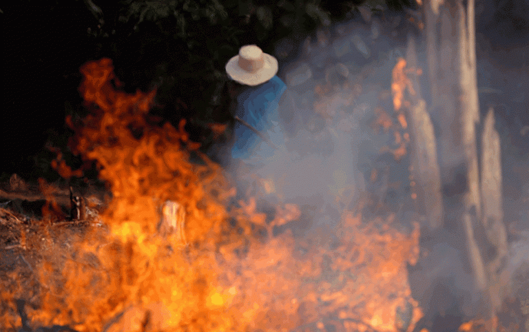 Incêndios na Amazônia