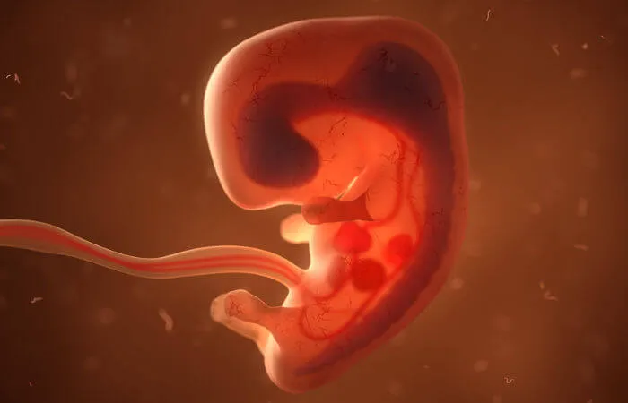 Desejo de matar – pelo direito do aborto